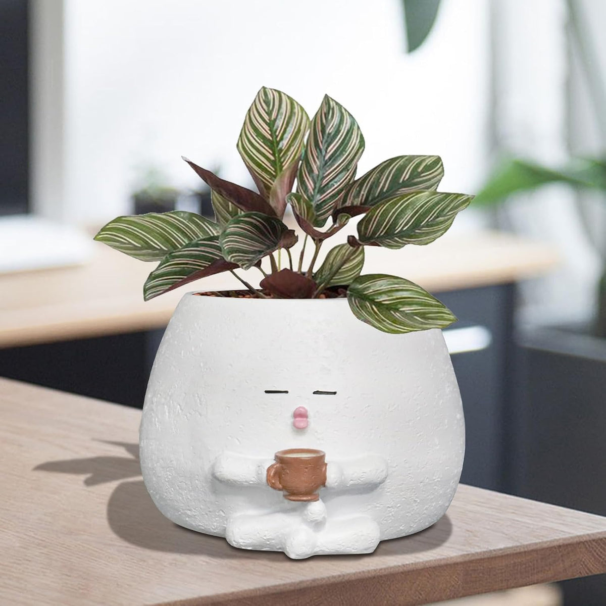 Cute Plant Pots Funny Face Coffee Planter for Indoor Outdoor Plants