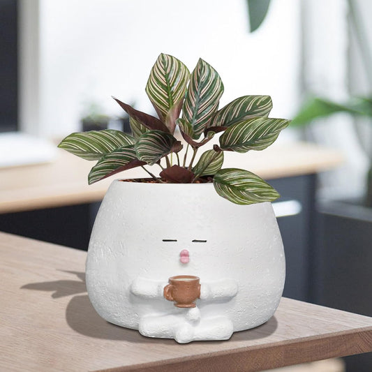 Cute Plant Pots Funny Face Coffee Planter for Indoor Outdoor Plants