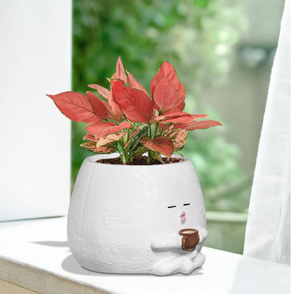Cute Plant Pots Funny Face Coffee Planter for Indoor Outdoor Plants