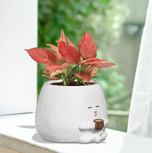 Cute Plant Pots Funny Face Coffee Planter for Indoor Outdoor Plants