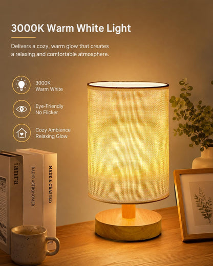 Small Table Lamp Set of 2, Bedside Lamp Nightstand Lamp, 3000K Warm Light Desk Lamp, USB Powered LED Reading Lamp, Boho Vintage Small Lamp for Bedroom Living Room Office Dorm Dresser