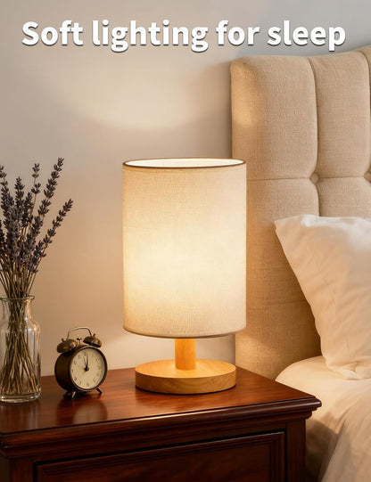 Small Table Lamp Set of 2, Bedside Lamp Nightstand Lamp, 3000K Warm Light Desk Lamp, USB Powered LED Reading Lamp, Boho Vintage Small Lamp for Bedroom Living Room Office Dorm Dresser