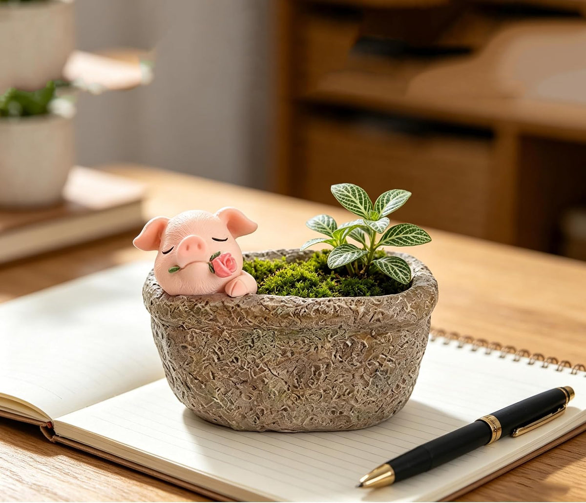 Cute Pig Gift Home Decor Pot, Succulent Planter Flowerpot Decor for Home Garden Office Desk Ormament, Fairy Garden Gift for Women Men
