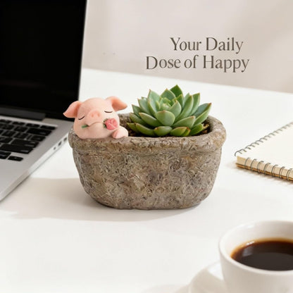 Cute Pig Gift Home Decor Pot, Succulent Planter Flowerpot Decor for Home Garden Office Desk Ormament, Fairy Garden Gift for Women Men