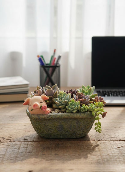 Cute Pig Gift Home Decor Pot, Succulent Planter Flowerpot Decor for Home Garden Office Desk Ormament, Fairy Garden Gift for Women Men