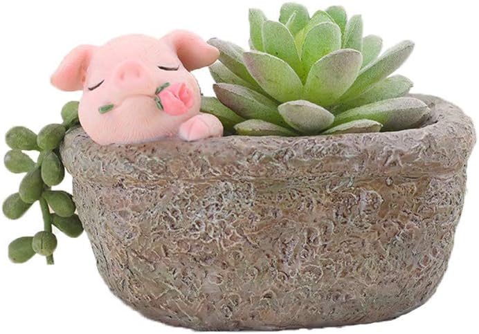 Cute Pig Gift Home Decor Pot, Succulent Planter Flowerpot Decor for Home Garden Office Desk Ormament, Fairy Garden Gift for Women Men