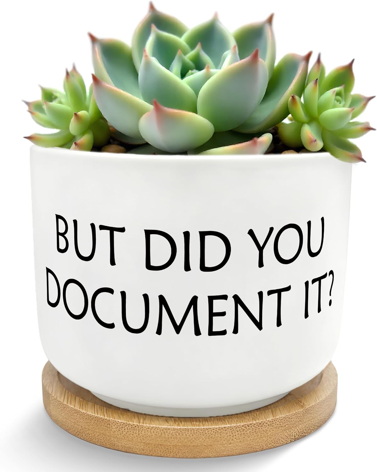 But Did You Document It Funny Plant Pots Succulent Planters