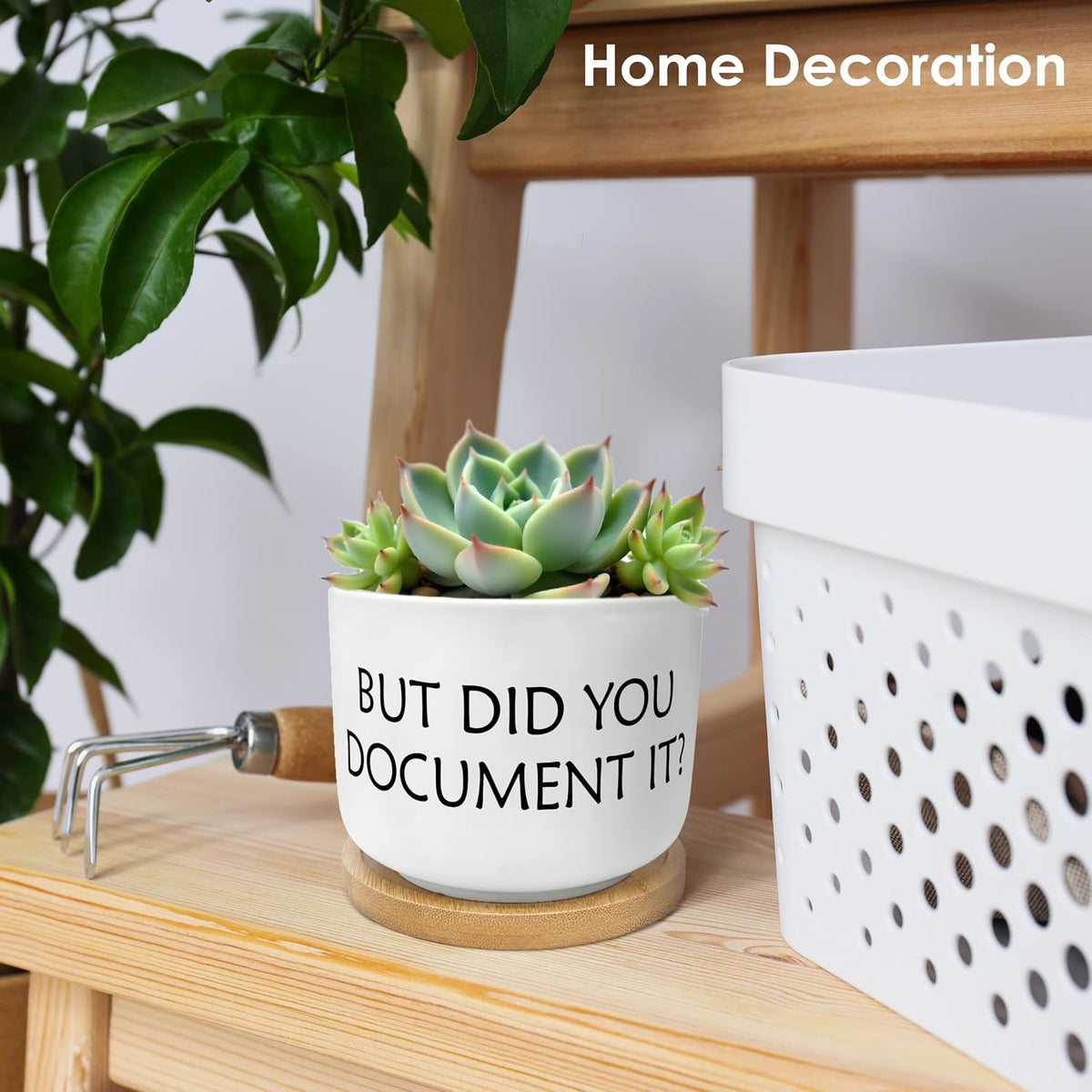 But Did You Document It Funny Plant Pots Succulent Planters