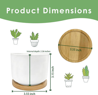 But Did You Document It Funny Plant Pots Succulent Planters