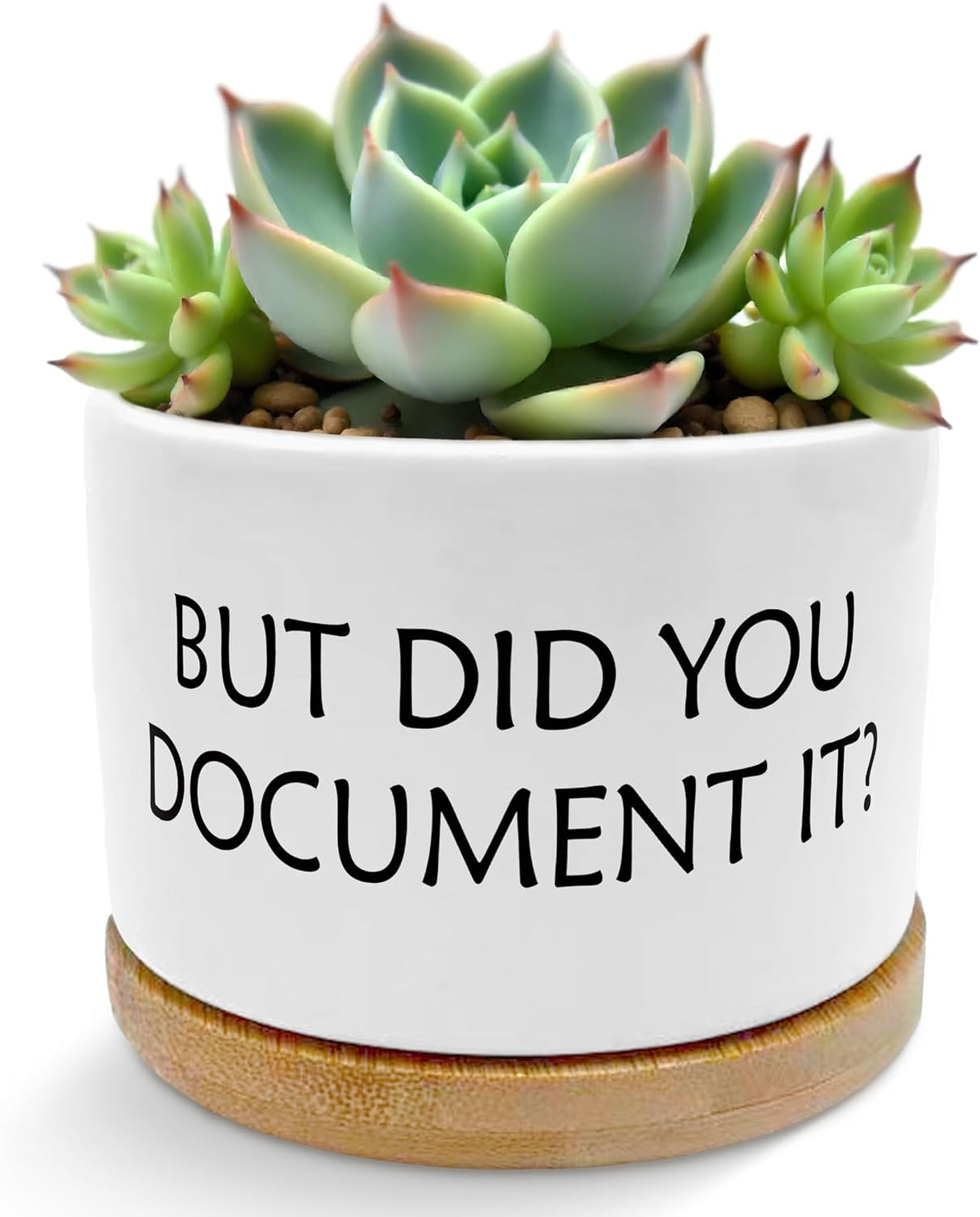 But Did You Document It Funny Plant Pots Succulent Planters