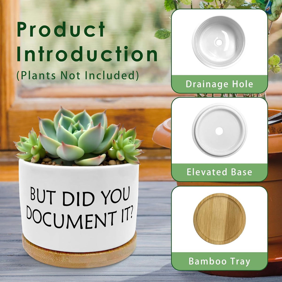 But Did You Document It Funny Plant Pots Succulent Planters