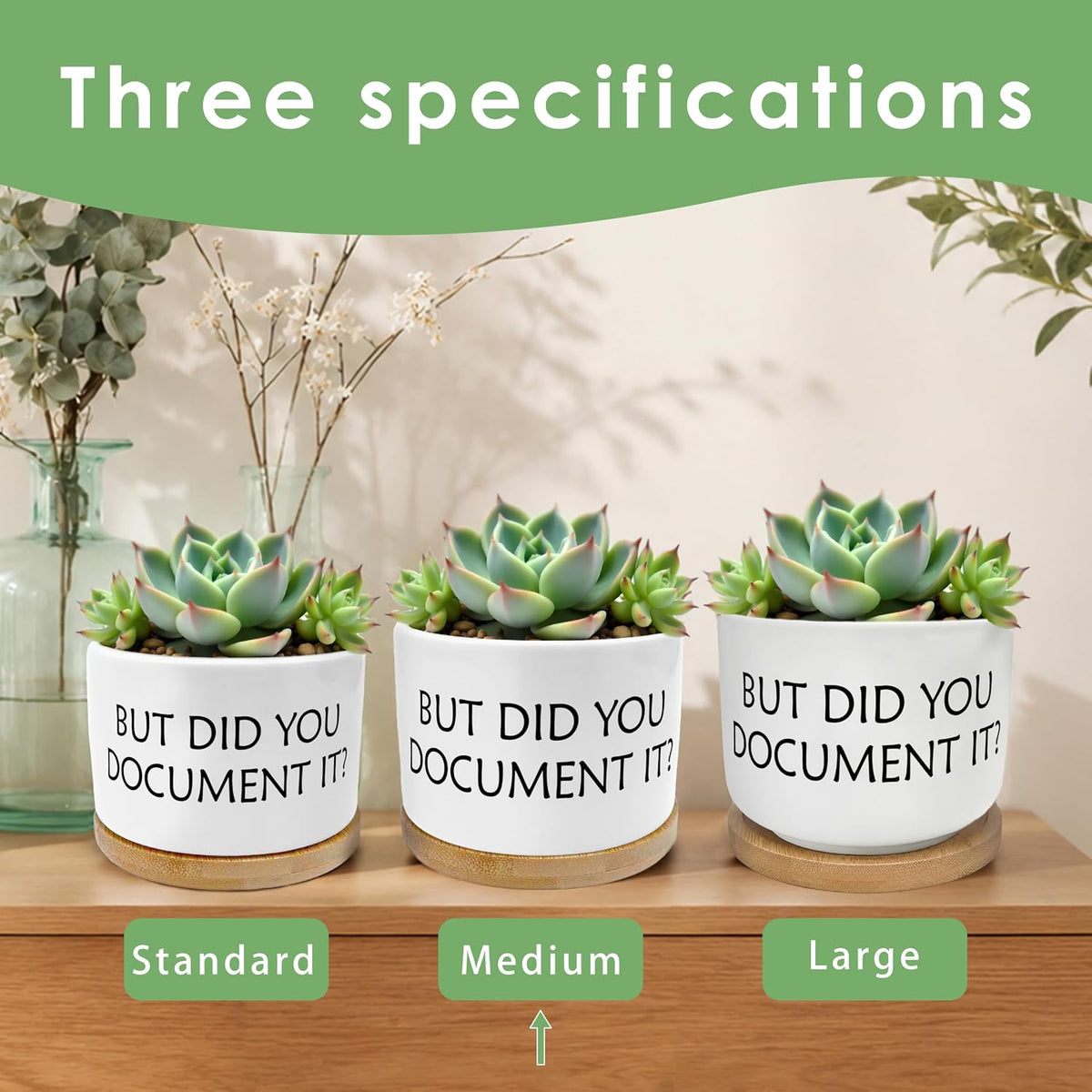 But Did You Document It Funny Plant Pots Succulent Planters