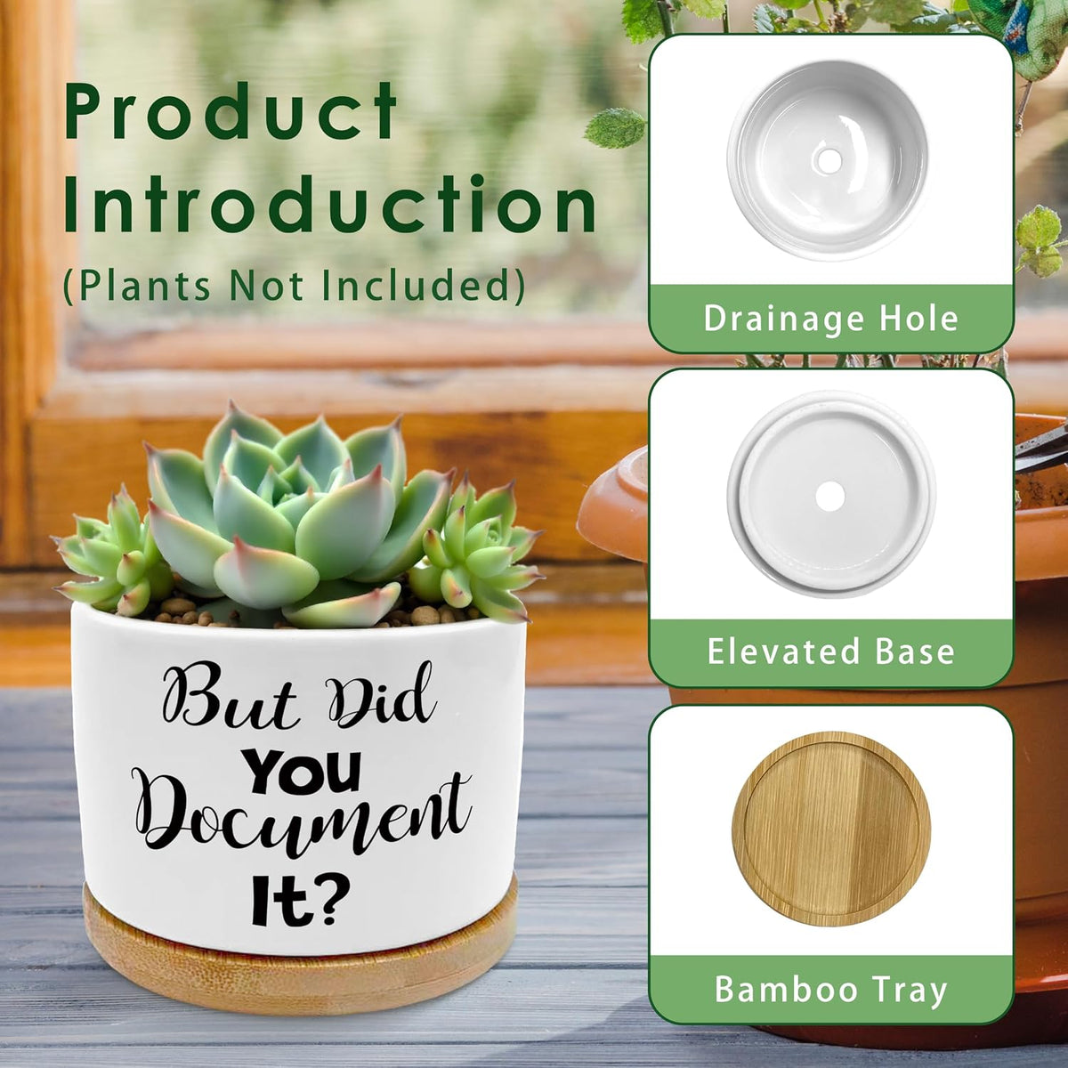 But Did You Document It Funny Plant Pots Succulent Planters