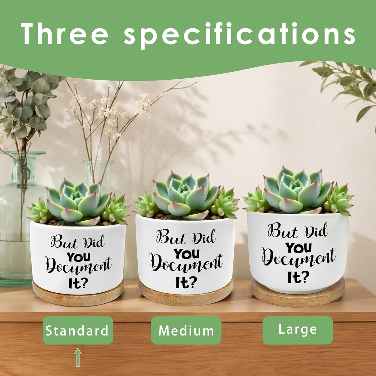 But Did You Document It Funny Plant Pots Succulent Planters