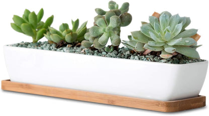 11inch Long Rectangle White Ceramic Succulent Planter Pots,with Bamboo Saucers. Product Size:11x2.23x1.69inch.