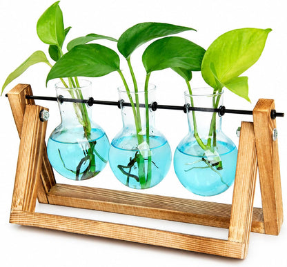 Plant Terrarium with Wooden Stand, Air Planter Bulb Glass Vase Metal Swivel Holder Retro Tabletop for Hydroponics Home Garden Office Decoration - 3 Bulb Vase