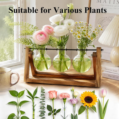 Plant Terrarium with Wooden Stand, Air Planter Bulb Glass Vase Metal Swivel Holder Retro Tabletop for Hydroponics Home Garden Office Decoration - 3 Bulb Vase