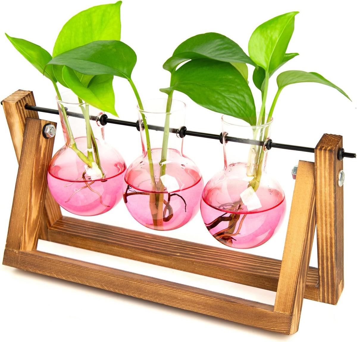 Plant Terrarium with Wooden Stand, Air Planter Bulb Glass Vase Metal Swivel Holder Retro Tabletop for Hydroponics Home Garden Office Decoration - 3 Bulb Vase