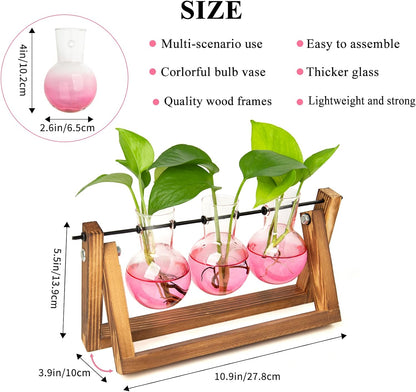 Plant Terrarium with Wooden Stand, Air Planter Bulb Glass Vase Metal Swivel Holder Retro Tabletop for Hydroponics Home Garden Office Decoration - 3 Bulb Vase
