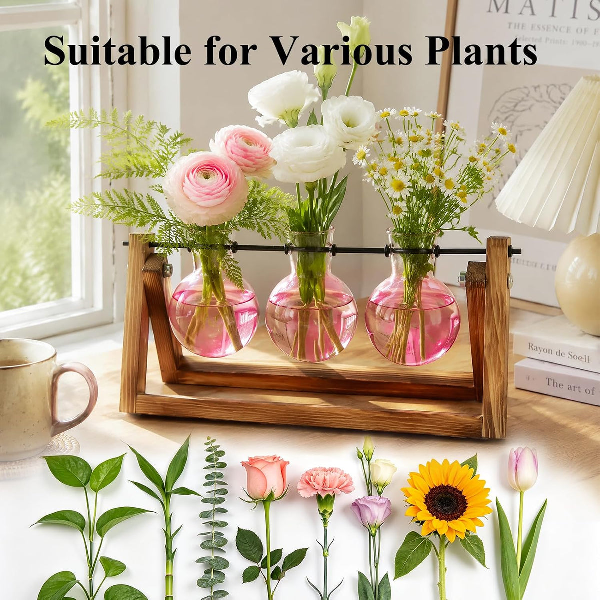 Plant Terrarium with Wooden Stand, Air Planter Bulb Glass Vase Metal Swivel Holder Retro Tabletop for Hydroponics Home Garden Office Decoration - 3 Bulb Vase