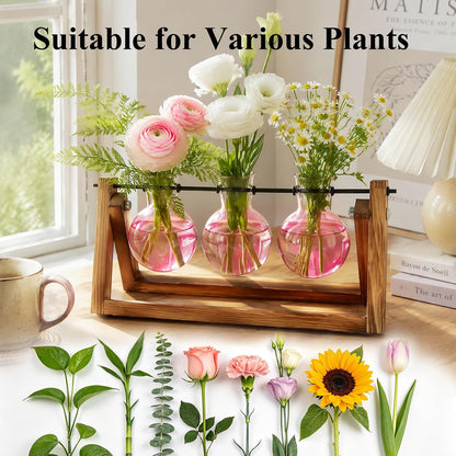 Plant Terrarium with Wooden Stand, Air Planter Bulb Glass Vase Metal Swivel Holder Retro Tabletop for Hydroponics Home Garden Office Decoration - 3 Bulb Vase