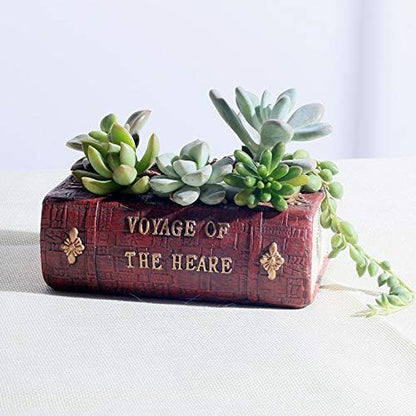 Cute Animal Resin Succulent Plant Pot Cactus Plant Pot Flower Pot Container Planter Bonsai Pots Desk Mini Ornament Pot with A Hole Idea (Frog Tree Hole)