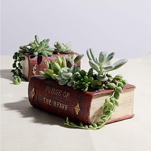 Cute Animal Resin Succulent Plant Pot Cactus Plant Pot Flower Pot Container Planter Bonsai Pots Desk Mini Ornament Pot with A Hole Idea (Frog Tree Hole)
