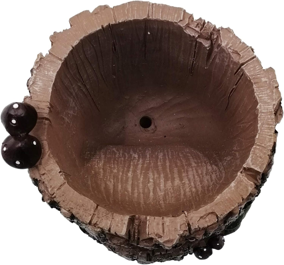 Cute Animal Resin Succulent Plant Pot Cactus Plant Pot Flower Pot Container Planter Bonsai Pots Desk Mini Ornament Pot with A Hole Idea (Frog Tree Hole)