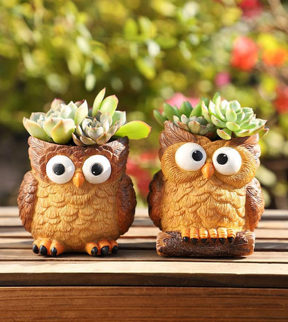 Cute Animal Resin Succulent Plant Pot Cactus Plant Pot Flower Pot Container Planter Bonsai Pots Desk Mini Ornament Pot with A Hole Idea (Frog Tree Hole)