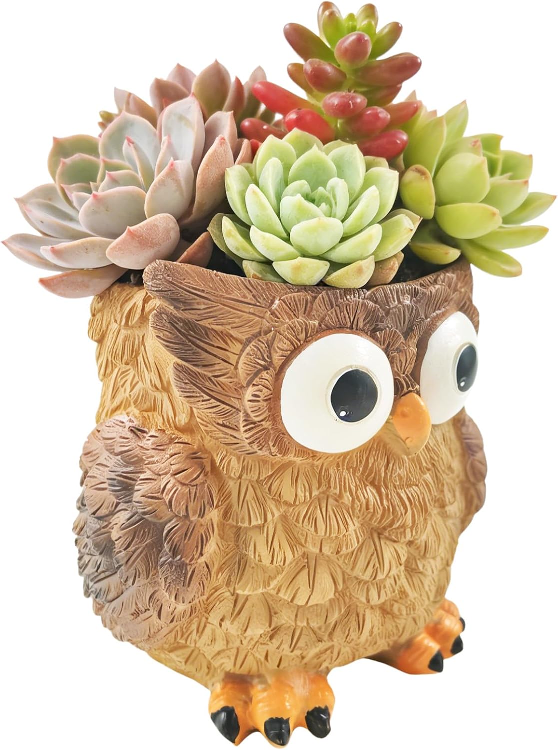 Cute Animal Resin Succulent Plant Pot Cactus Plant Pot Flower Pot Container Planter Bonsai Pots Desk Mini Ornament Pot with A Hole Idea (Frog Tree Hole)