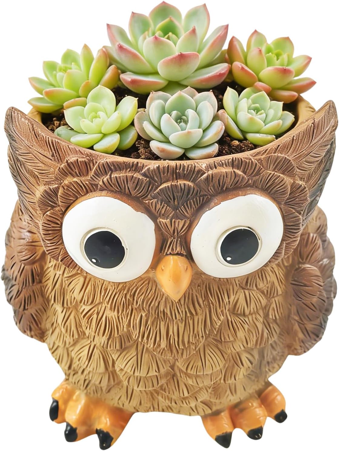 Cute Animal Resin Succulent Plant Pot Cactus Plant Pot Flower Pot Container Planter Bonsai Pots Desk Mini Ornament Pot with A Hole Idea (Frog Tree Hole)
