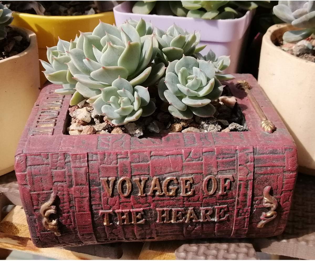 Cute Animal Resin Succulent Plant Pot Cactus Plant Pot Flower Pot Container Planter Bonsai Pots Desk Mini Ornament Pot with A Hole Idea (Frog Tree Hole)