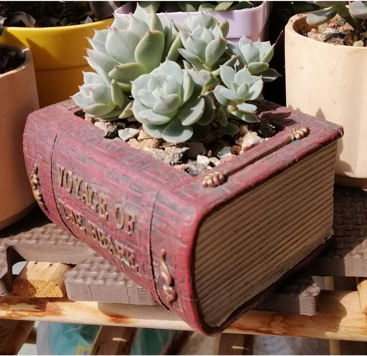 Cute Animal Resin Succulent Plant Pot Cactus Plant Pot Flower Pot Container Planter Bonsai Pots Desk Mini Ornament Pot with A Hole Idea (Frog Tree Hole)