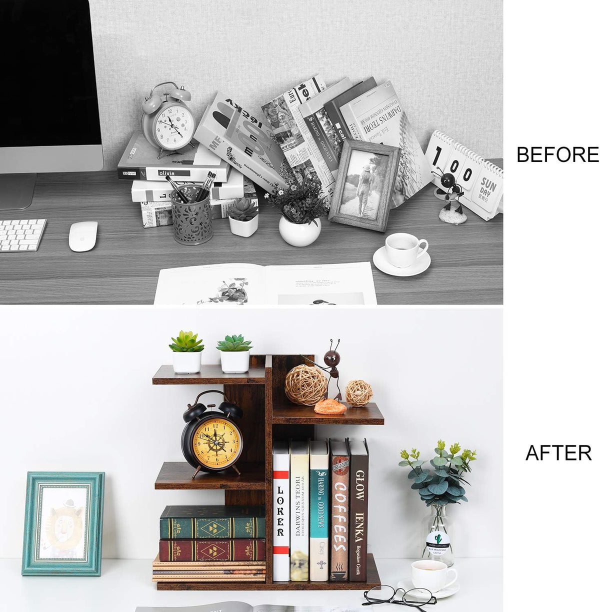Mass Desktop Bookshelf Freestanding Wooden Countertop Bookcase Accessories Organizer Display Rack Dorm Desk Storage Shelf