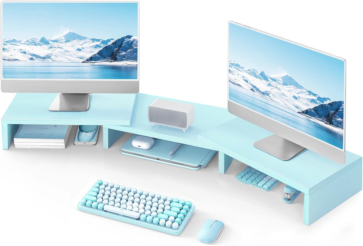 TAVR Monitor Stand Riser, Office Desktop Organizer Stand for 2 Monitors