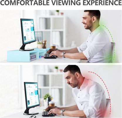 TAVR Monitor Stand Riser, Office Desktop Organizer Stand for 2 Monitors