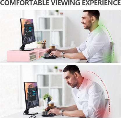 TAVR Monitor Stand Riser, Office Desktop Organizer Stand for 2 Monitors