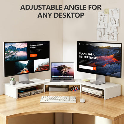 TAVR Monitor Stand Riser, Office Desktop Organizer Stand for 2 Monitors
