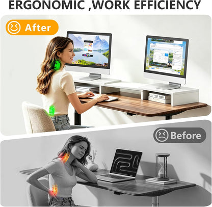 TAVR Monitor Stand Riser, Office Desktop Organizer Stand for 2 Monitors