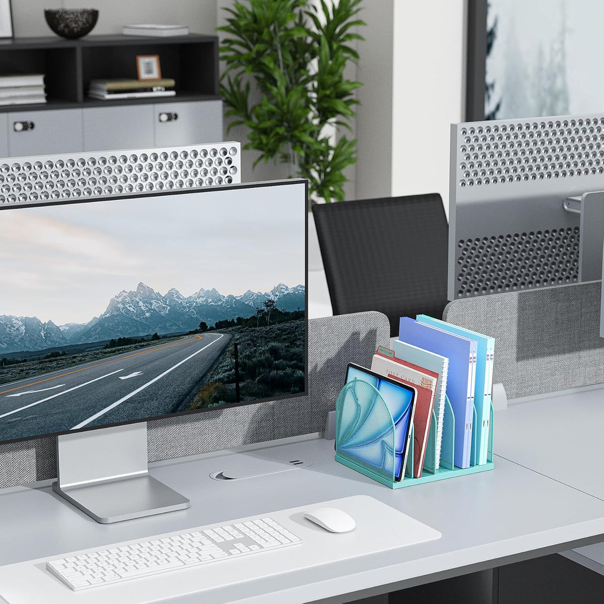 Desktop File Organizer with 5 Compartments