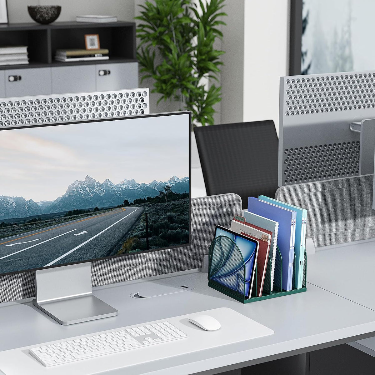 Desktop File Organizer with 5 Compartments