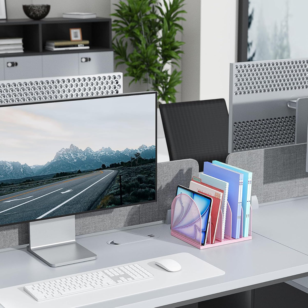 Desktop File Organizer with 5 Compartments