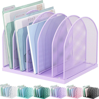 Desktop File Organizer with 5 Compartments