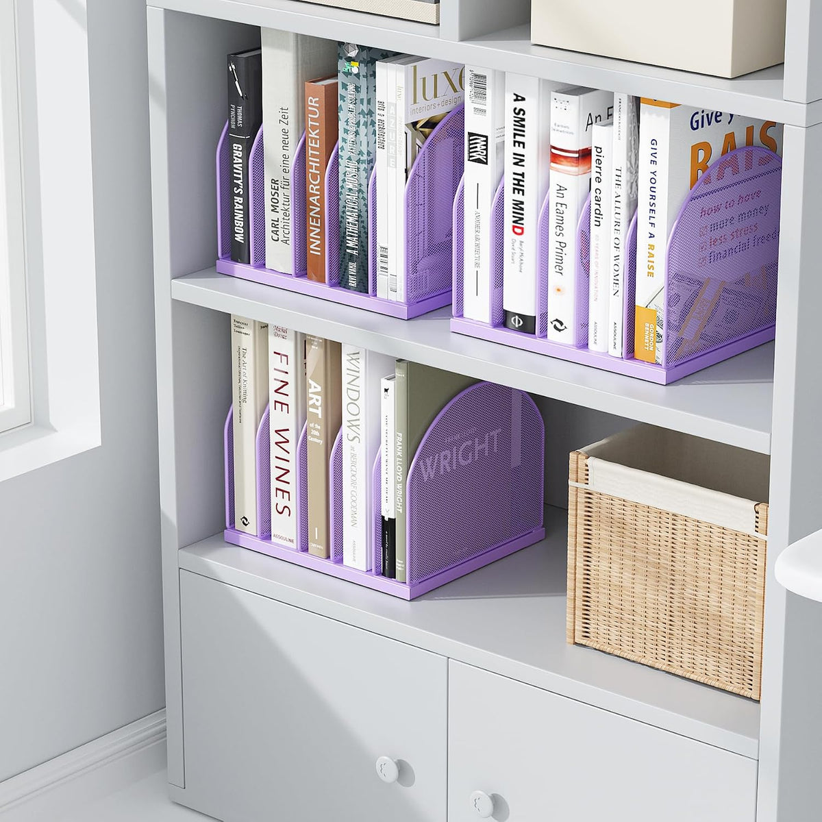 Desktop File Organizer with 5 Compartments