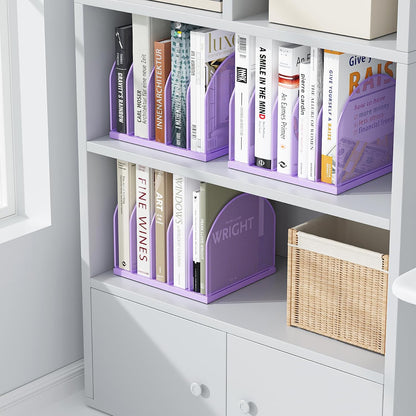 Desktop File Organizer with 5 Compartments
