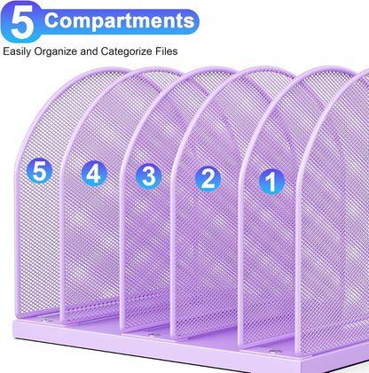 Desktop File Organizer with 5 Compartments