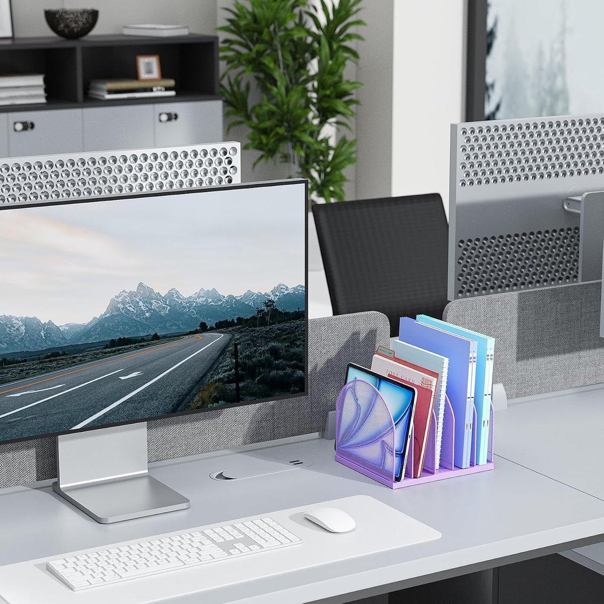 Desktop File Organizer with 5 Compartments