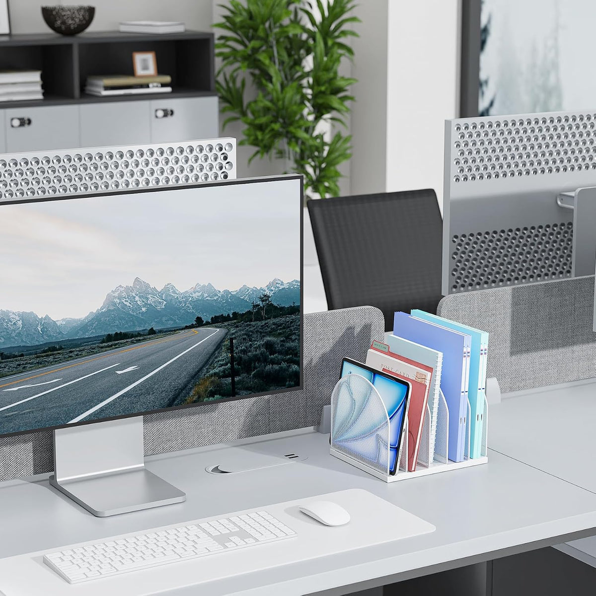 Desktop File Organizer with 5 Compartments