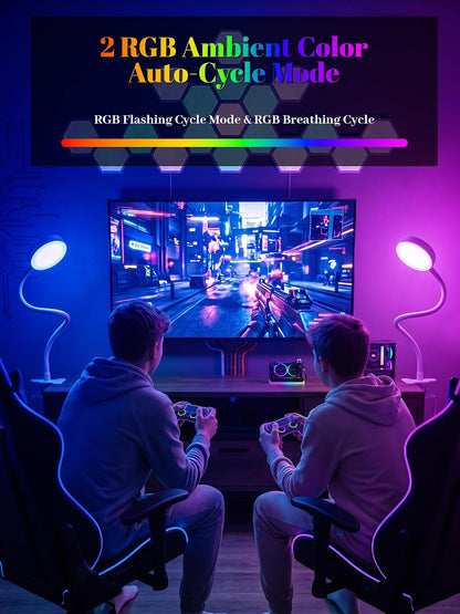 10 RGB Colors+10 Brightness Small Desk Lamp with Clamp Light