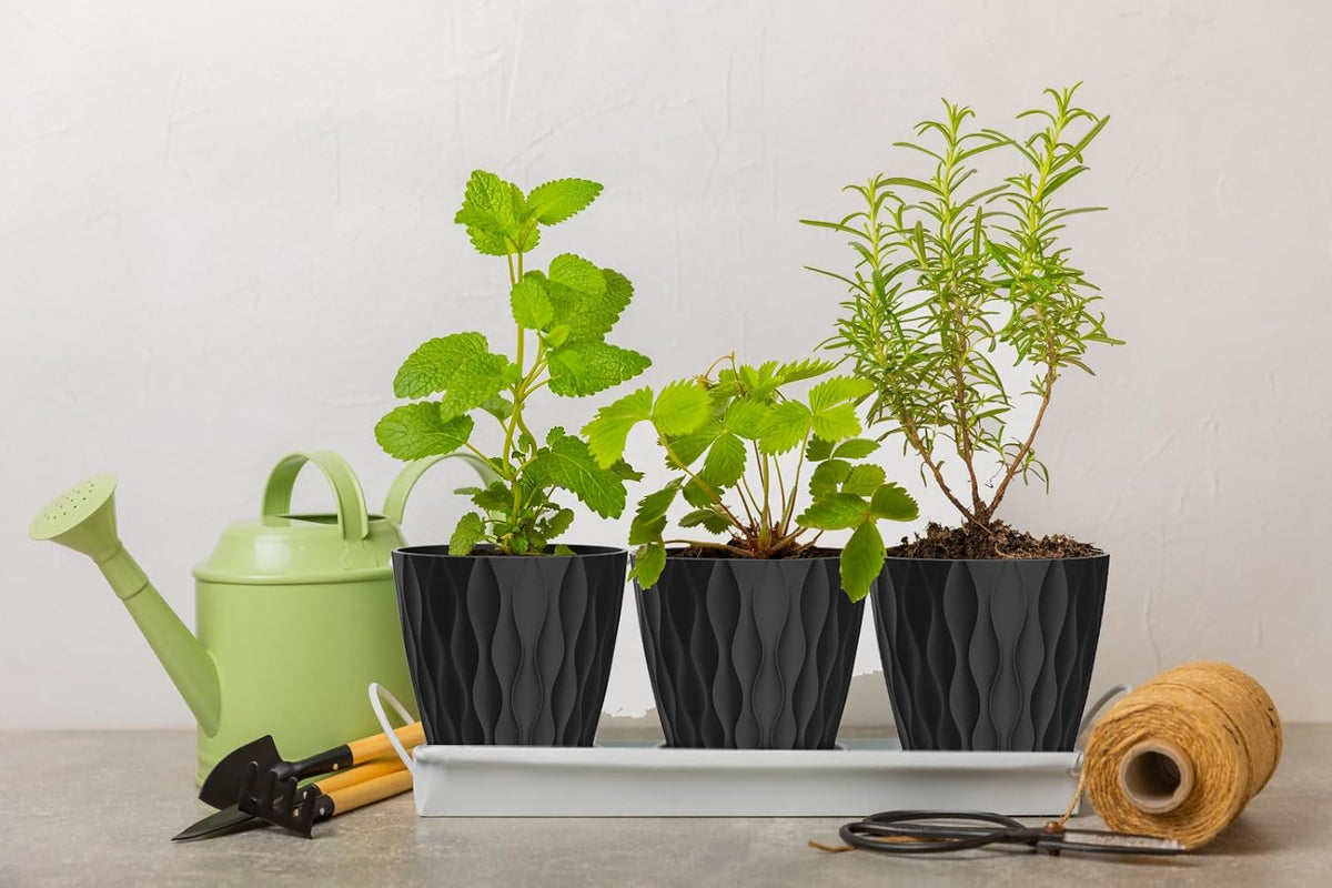 4 Inch Plant Pots, 6 Pack Indoor Flower Pots, Planters with Drainage Holes and Trays for Orchids, Violets, Succulents, Herbs, and Other Plants,Corolful